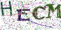 图形验证
