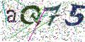 图形验证