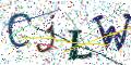 图形验证