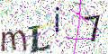 图形验证