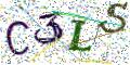 图形验证