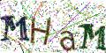 图形验证