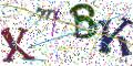 图形验证