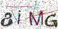 图形验证