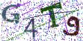 图形验证