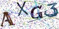 图形验证