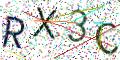 图形验证