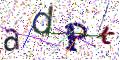 图形验证