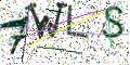 图形验证