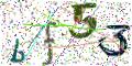 图形验证