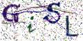 图形验证