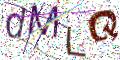 图形验证