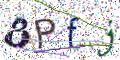 图形验证