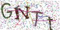 图形验证