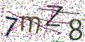 图形验证