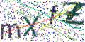 图形验证