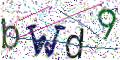 图形验证