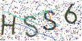 图形验证