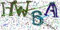 图形验证