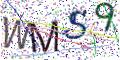 图形验证