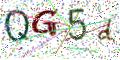 图形验证