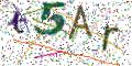 图形验证