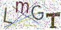 图形验证
