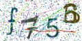 图形验证