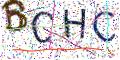图形验证