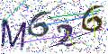 图形验证