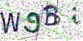 图形验证