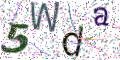 图形验证