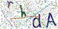 图形验证