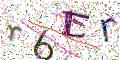 图形验证