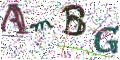 图形验证