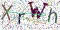 图形验证