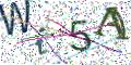 图形验证