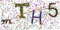 图形验证