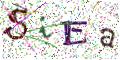 图形验证