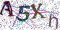 图形验证