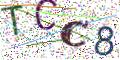 图形验证