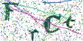 图形验证