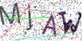 图形验证