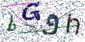 图形验证