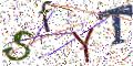 图形验证
