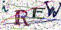 图形验证