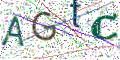图形验证
