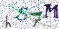 图形验证