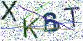 图形验证