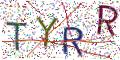 图形验证